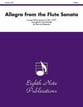 ALLEGRO FROM FLUTE SONATA FLUTE cover